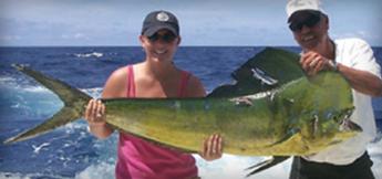 Fishing & Cruising Trips 